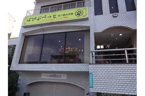 船橋綾ブリーダーの詳細